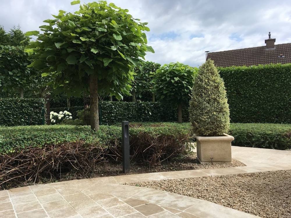 Éclairage extérieur et arbres — chantier Vanhecke